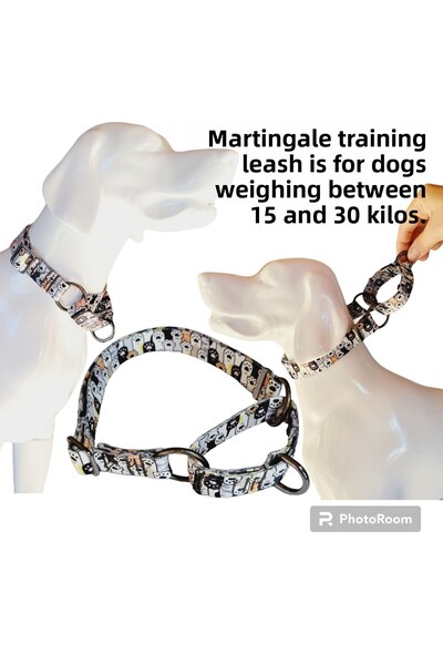VSLT HANDMADE إني 2 سم. طوق تدريب مارتنجال. مناسب للكلاب حتى وزن 30 كيلو