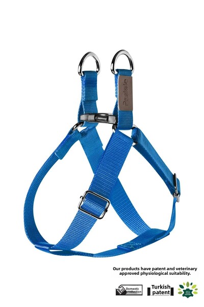 pasiole طوق للكلاب، طوق للكلاب، قابل للتعديل، طوق قوي للكلاب - توي