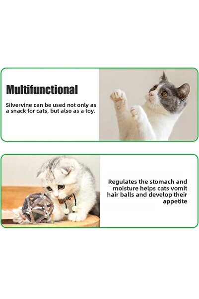 Mıncır Shop Matatabi Ball with Cat Herb (with Catnip)