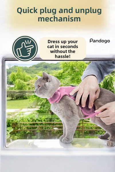 Pandogo طوق قطط آمن ومريح باللون الوردي – مضاد للهروب وقابل للتعديل مقاس L