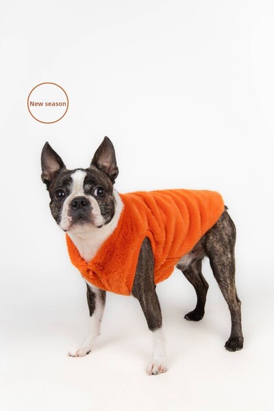 salya store Dog Outfit -Rabbit Dog Jacket with Zipper