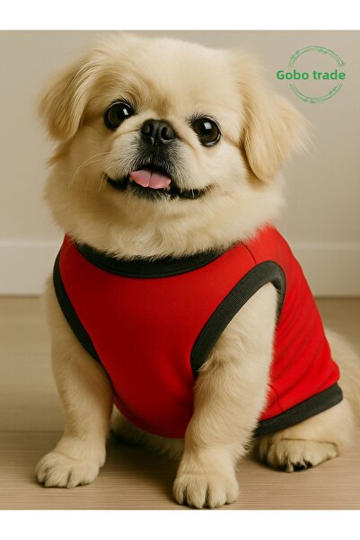 Goboticaret Appliqued Red Cat Dog Outfit Dress with Cute White Teddy Bear Accessory