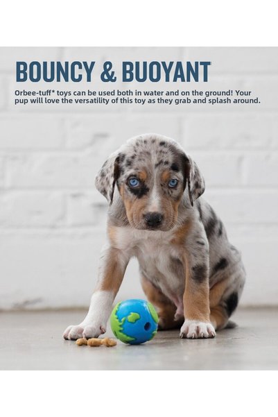 Generic Brand Orbee Ball Blue Dog Treat Toy Small