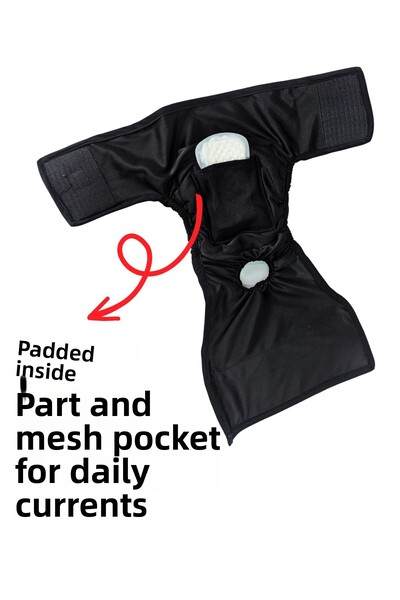 UTDpet Women's Dog Menstrual and Pee Pants with Washable Pads