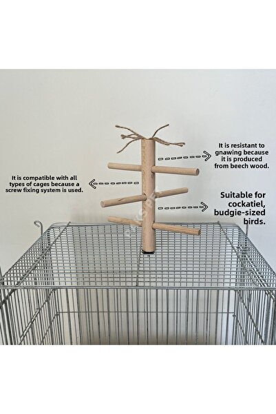 Paks Pet لعبة الطيور الخشبية - لعبة الببغاء على القفص، مصنوعة يدويًا على شكل ...