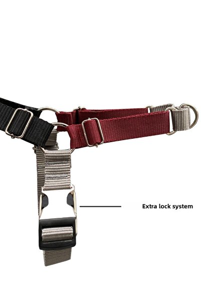 Jimi pet Drago Easy Walk Front Pull Chest Collar