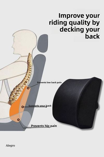Viscomina Lumbar Support Auto Vehicle Office Chair Cushion Waist And Back Support Chair Pillow