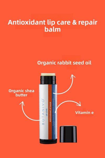 Botanivo Antioxidant Lip Care & Repair Balm |   Moisturizing, Nourishing, Protective |   Organic |   5ml Stick