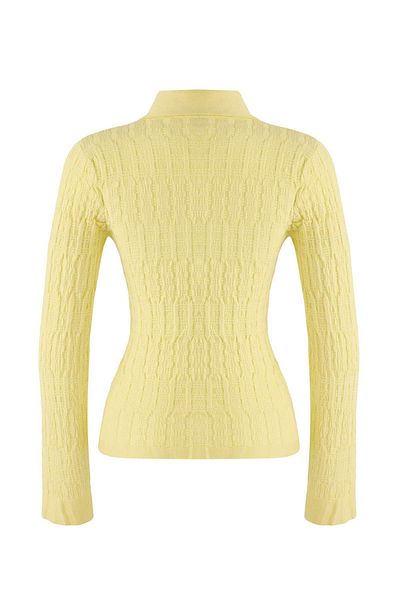 Trendyol Collection Yellow Textured Polo Neck Premium/Special Thread Fitted/Fitted Knitwear Cardigan Twoaw26Hi00081