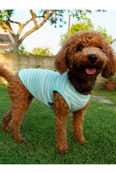 oyapet Kedi Köpek Atlet, Küçük-Orta Irk, Kedi Köpek Kıyafet