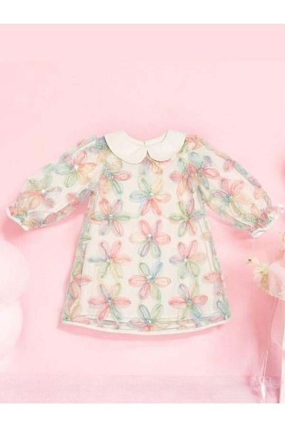 Zekids Girl's Baby Doll Collar Floral Embroidered Design Dress