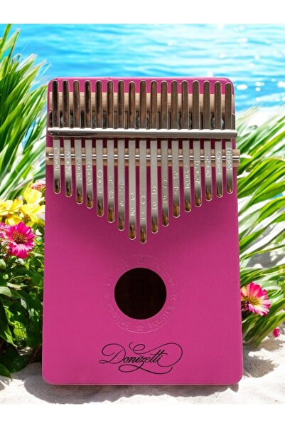 Donizetti Kalimba Full Set - Hediye Paketi- Stant-parmak Koruyucu Pembe