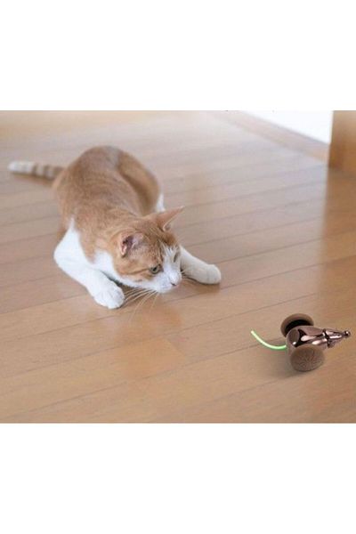 miraza Electric Interactive Toy For Cats, Mice, RGB LED, Usb-c, Metallic Brown