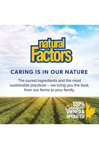 Natural Factors L-carnitine, 500 Mg, 60 Veggie Capsules, Convert Fat Into Energy