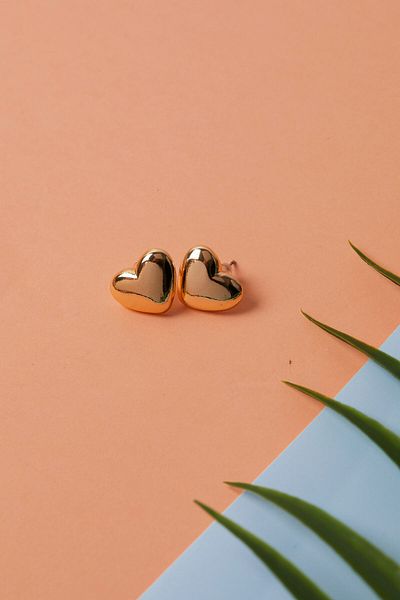 Elika Silver Heart Model Women's Bijouterie Earrings