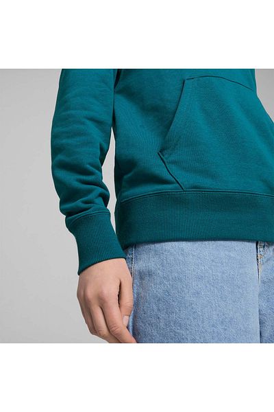 Puma Φούτερ με πράσινο λογότυπο - Γυναικεία, με κουκούλα, γυαλιστερά κλασικά