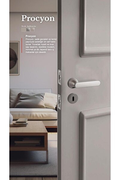 alastore Procyon - Mâner de ușă de cameră cu rozetă pătrată, dreapta stânga, potrivit pentru interiorul casei - mânere pentru uși - a203a