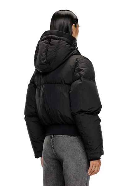 Diesel Mont