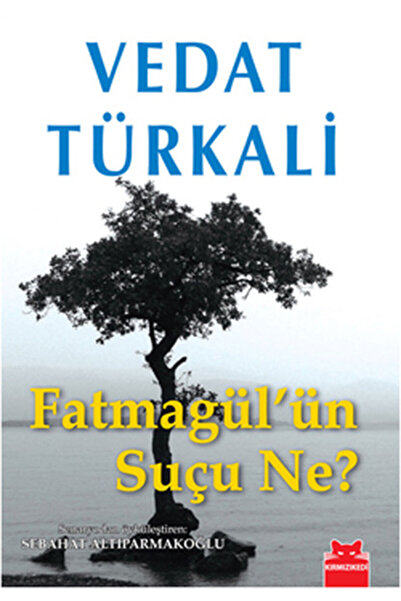 Kırmızı Kedi Yayınevi Fatmagül'ün Suçu Ne?