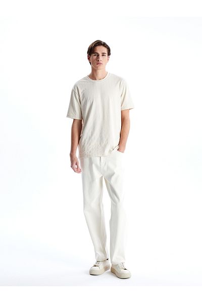 LC Waikiki Crew Neck Striped Men's Textured T-Shirt