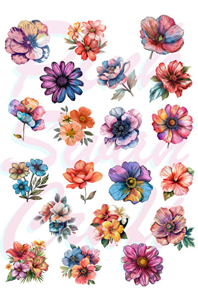 Pink Swan Craft Vintage Suluboya Renkli Çiçekler Etiket Seti, Bullet Journal,...