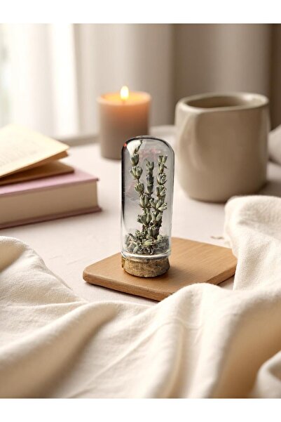 Pisidesa Pisidia Lavanta Kapsülü (LAVANTA TANELİ DEKORATİF KÜRE) - Doğal Hedi...