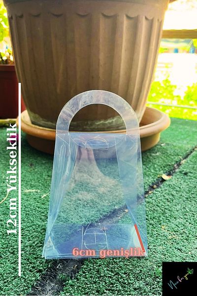 Nice For You 12X10X6 Acetate Bag 50 Pieces