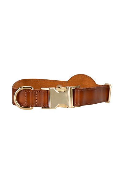 Lev Leather Leather Dog Collar, Genuine Leather Dog Collar with Airtag Compartment-Name Writable