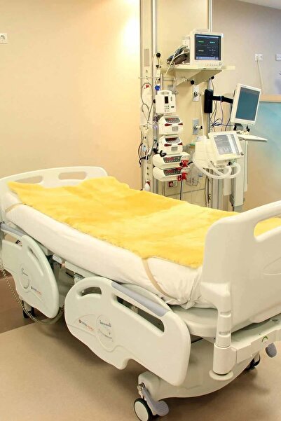 Pegia Sheepy Care Medikal Koyun Postu Yatak Örtüsü MDK003