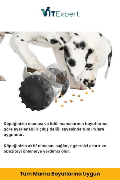Vitexpert Yeni Nesil Köpek İnteraktif Mama Dağıtıcı Oyun Topu Mama Saklamalı Otomatik Ödül Maması Atıcı Robot
