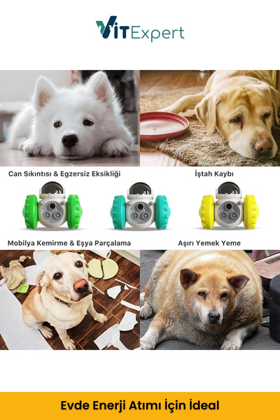 Vitexpert Yeni Nesil Köpek İnteraktif Mama Dağıtıcı Oyun Topu Mama Saklamalı Otomatik Ödül Maması Atıcı Robot