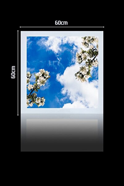 Gökyüzü Panel 1x1-tekli-60x60-tavana Yapışık Led Panel-54w-sıva Üstü-kolay Montaj-erik Dalları- Led