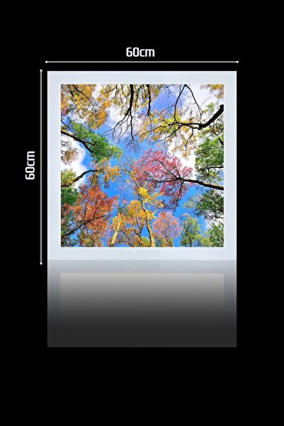 Gökyüzü Panel 1x1-tekli-60x60-tavana Yapışık Led Panel-54w-sıva Üstü Led-kolay Montaj-sonbahar-- Led