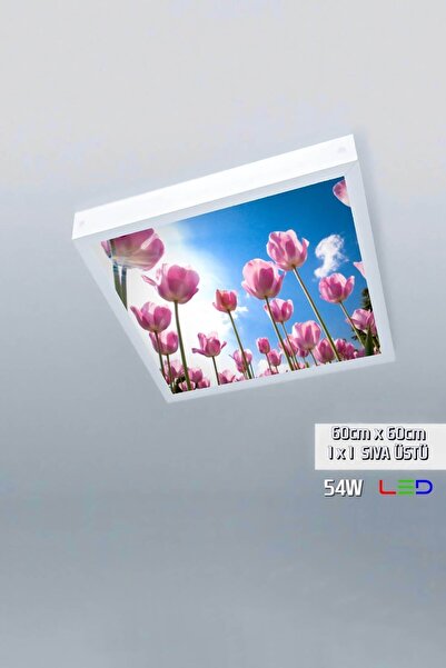 Gökyüzü Panel 1x1-tekli-60x60-tavana Yapışık Led Panel-54w-sıva Üstü Avize-ko...