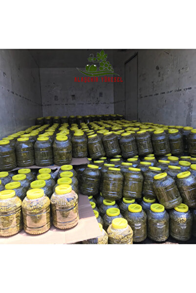 Alaşehir Yöresel Yeni Sezon Damarsız Ince Mayıs Asma Salamura Yaprak