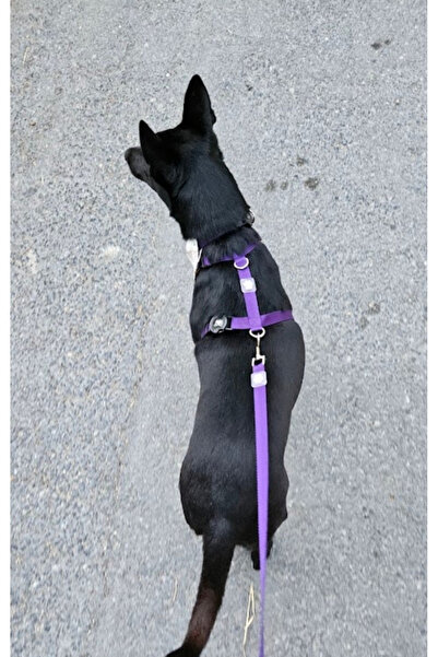 IG Design Basic H Tipi Göğüs Tasması