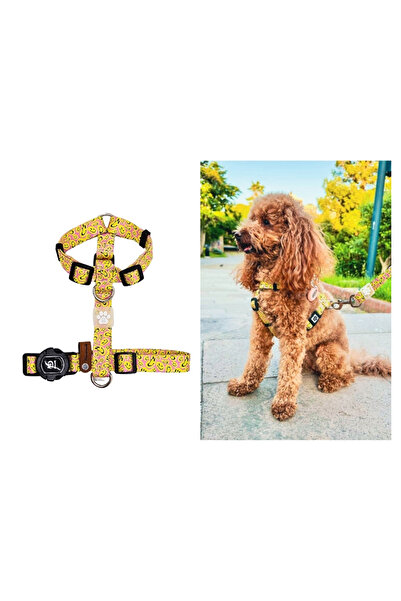 IG Design Geri Dönüştürülmüş Desenli H Tipi Göğüs Tasması