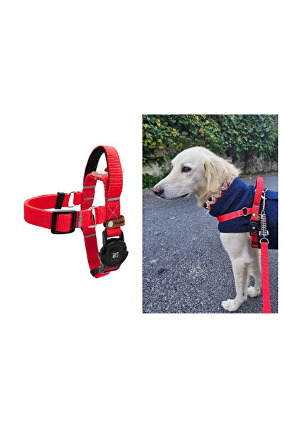 IG Design Easy Use - Kolay Giydirilebilir Göğüs Tasması