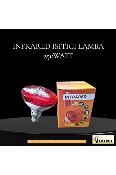İnfrared ISITICI AMPUL LAMBA KIRMIZI 250 WATT / 2 ADET