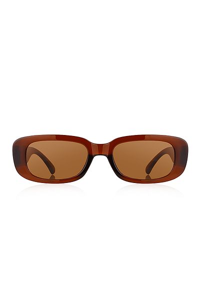 Kinary Unisex Sunglasses Brown Shiny 1047
