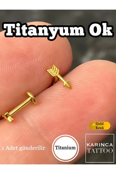 Karınca Piercing Eros Arrow Minimal Titanium Piercing Premium Forward Helix Flat Conch Nose Ear Small Tragus Earrings