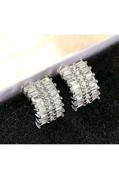 reyselstyle Zircon Stone Luxury Steel Earrings