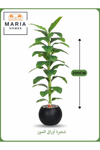 MARIA HOMES Artificial Banana Leaf Tree 200 cm – Tall Faux Plant with Black Pot