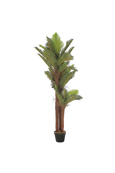 Gharaib Al Tuhaf Mirage Palm - Tropical beauty with delicate details Size: 150 cm