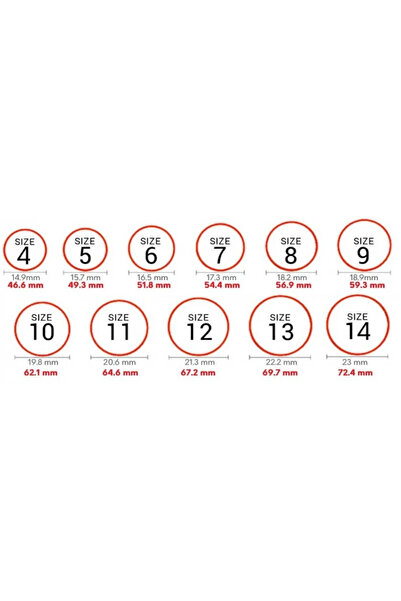 OEM Inel clasic din argint cu 20 diamante moissanite