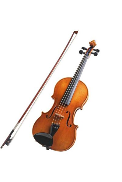 dalimag Nova Line wooden violin, size 4/4 with bow and saccule