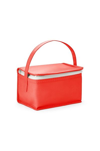 dalimag Insulated Bag for Beach and Camping, Red, 3L