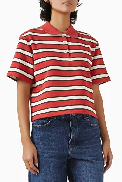 12storeez Striped Terry Fabric Cropped Polo T-Shirt, Modern Cut and Comfortab...