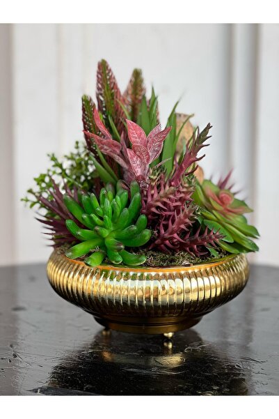 TASARIMHMODA Yapay Sukulentli Küçük Boy Çizgili Yassı Vazo No:2