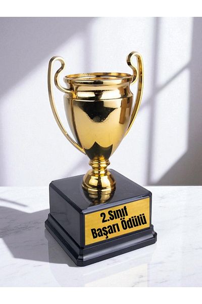 lili hediyelik 2. Classroom Achievement Award - Transcript Gifts Student Gift Souvenirs